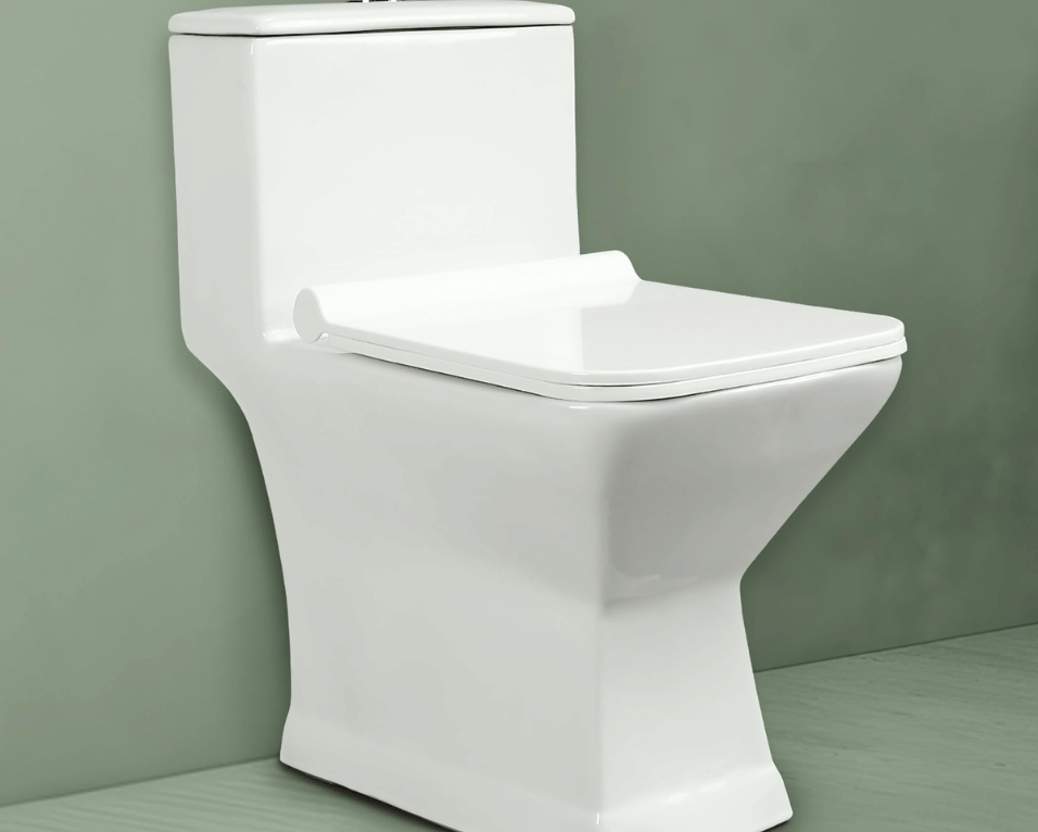 Floor mounted/one piece W/C